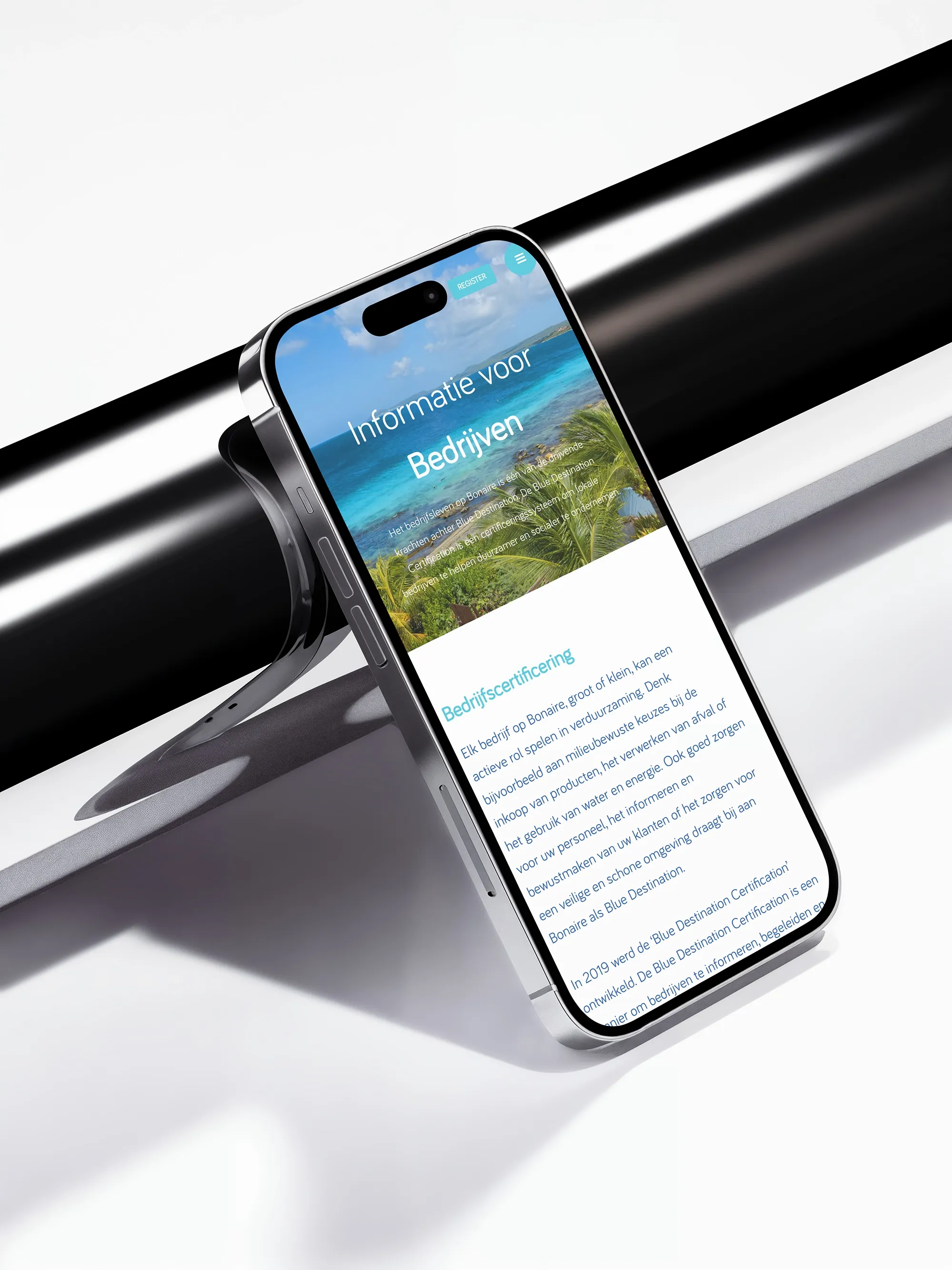 Maatwerk website voor Blue Destination detail image 2