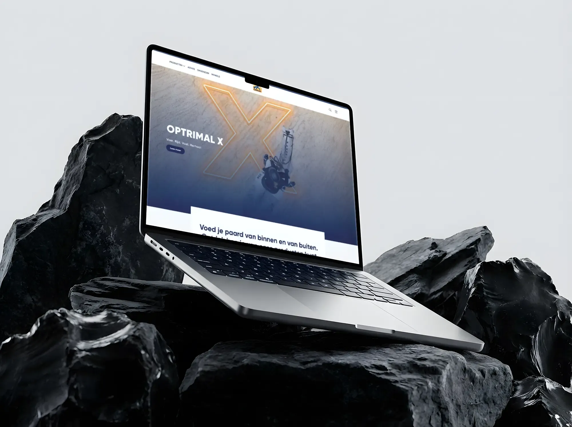 Elementor website voor Cavalor