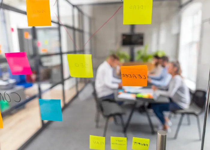 Werken bij WP Agency